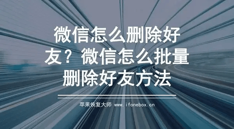微信怎么找回删除的联系人 微信找回删除联系人方法