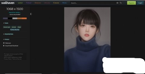 Wallhaven壁纸免费版