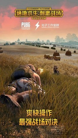 PUBG MOBILE(国际服)