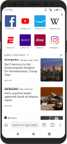 Kiwi Browser (3)