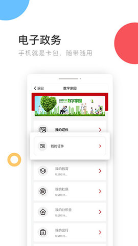 国家政务服务平台 (2)