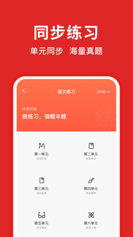 题拍拍真人辅导