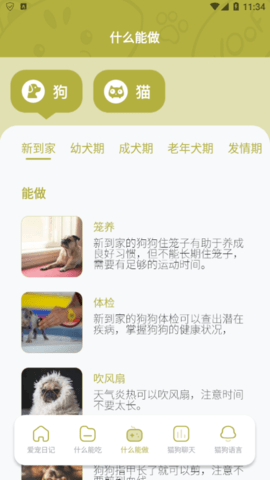 爱宠狗狗翻译器免费版