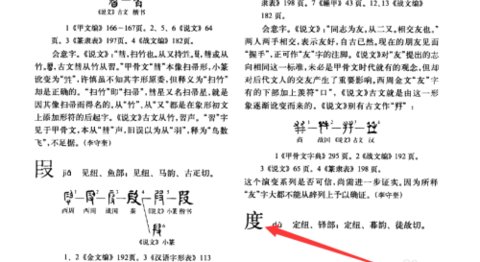 国学大师网安卓版