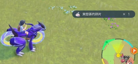 宝可梦朱紫苍炎刃鬼怎么获得 紫苍炎刃鬼进化攻略