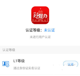 郑好办核酸查询版