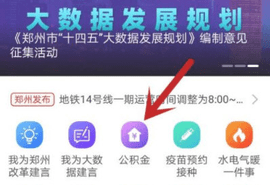郑好办核酸查询版