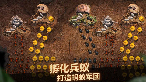 小小蚁国国际服内购破解版