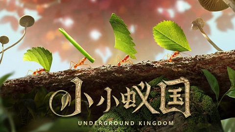 小小蚁国国际服内购破解版