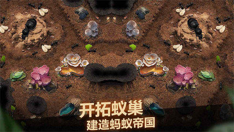 小小蚁国国际服内购破解版