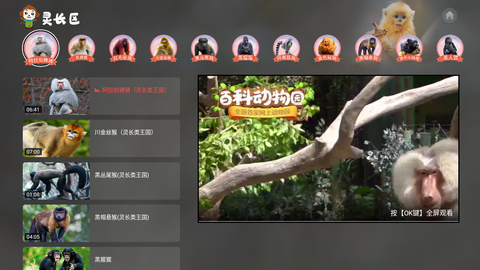 Screenshot_20221126-142815