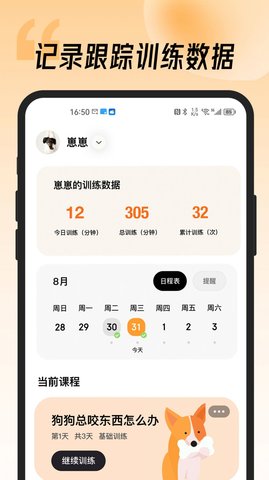 宠物记2023最新版