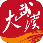 大武汉2023电子版