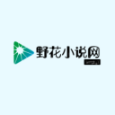 野花小说网2023最新版