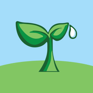 芥菜种早教App手机版