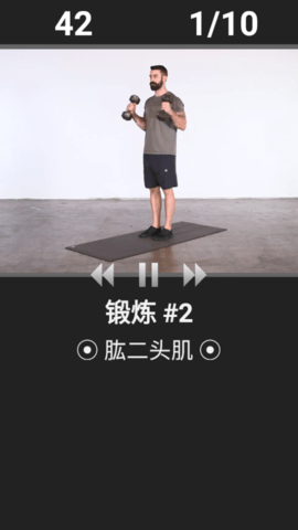每日锻炼纯净版