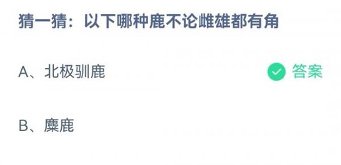 蚂蚁庄园今日最新答案在文章末第2022年12月31期分享
