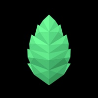 薄盒数字藏品最新版