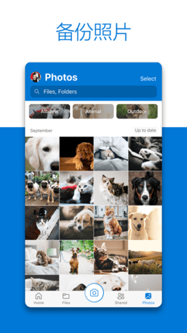 OneDrive