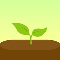 Forest免费专业版