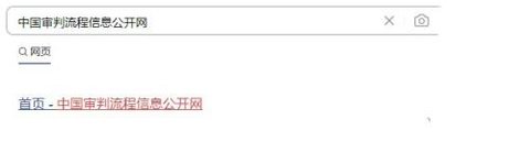 中国庭审公开网案件查询APP