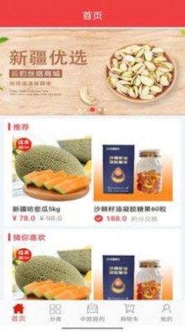 云豹丝路App手机版