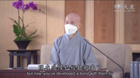 Mtv纯净版