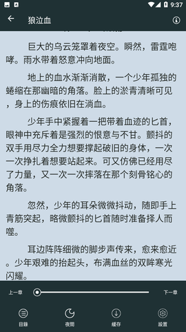 嘿嘿小說