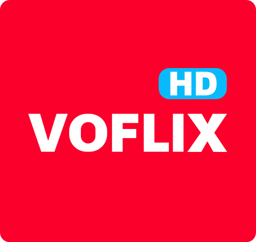 VHDTV内置源版