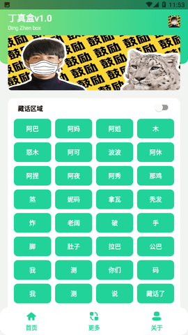 丁真盒