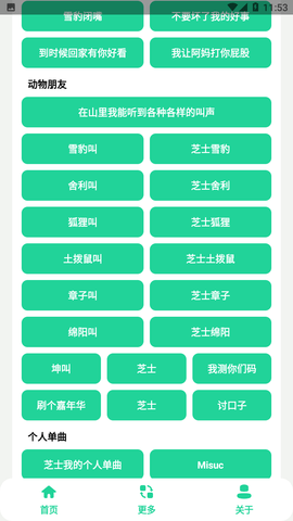 丁真盒