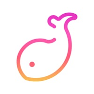 伴鱼音乐音基题库解密版