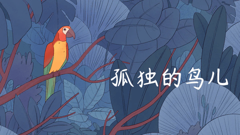 孤独的鸟儿最新版2023