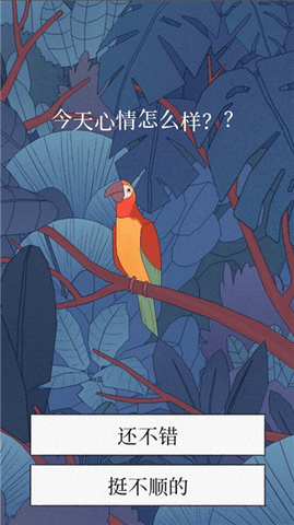 孤独的鸟儿最新版2023