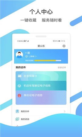 山东通政务服务平台