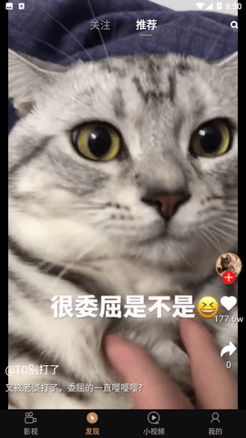 天天影视大全