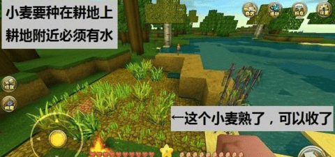 迷你世界无实名认证最新版