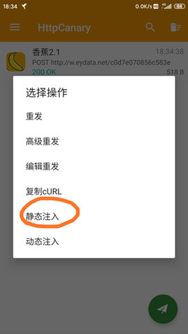 HttpCanary中文版