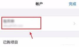 appstore手机版