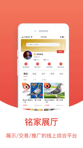 赛鸽头条搜鸽天下比赛查询最新版