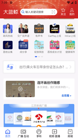 大蓝鲸