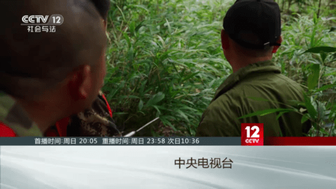 新晴天TV去广告纯净版