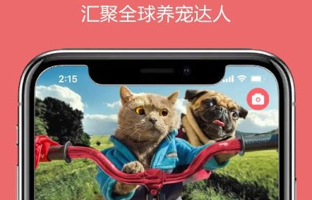 宠可爱app官方版免费版