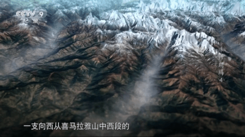 派大星直播TV电视盒子App