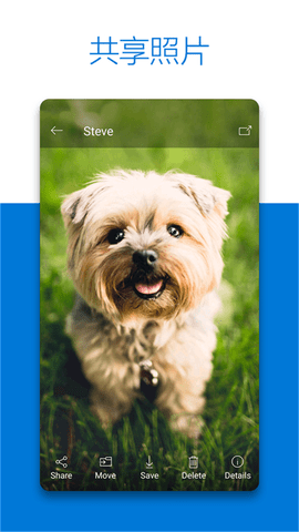OneDrive第三方免授权版