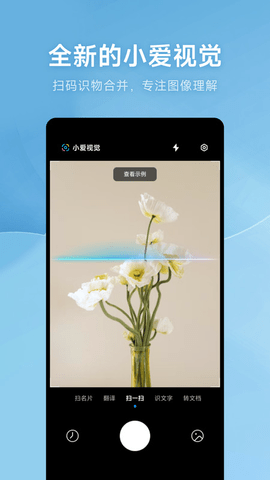 小爱视觉移植版