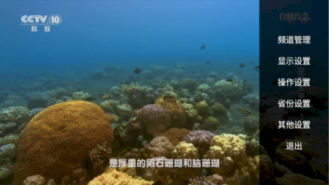 阳阳TV电视直播app