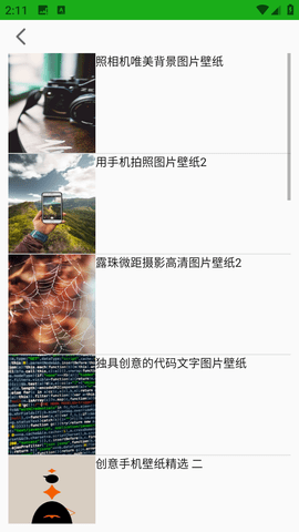 飞云鸟壁纸