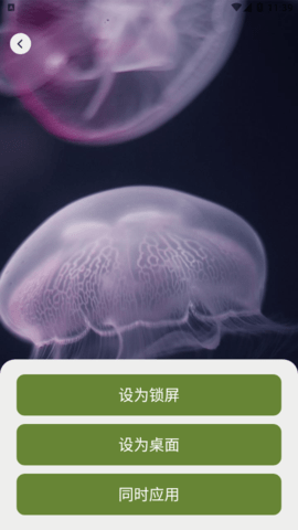 画客壁纸免费版