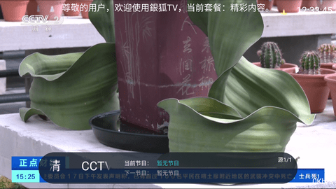 銀狐TV去广告纯净版
